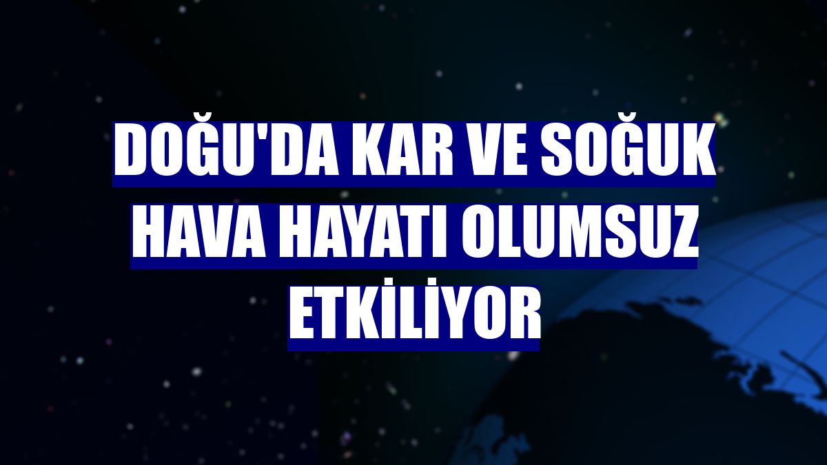 Doğu'da kar ve soğuk hava hayatı olumsuz etkiliyor