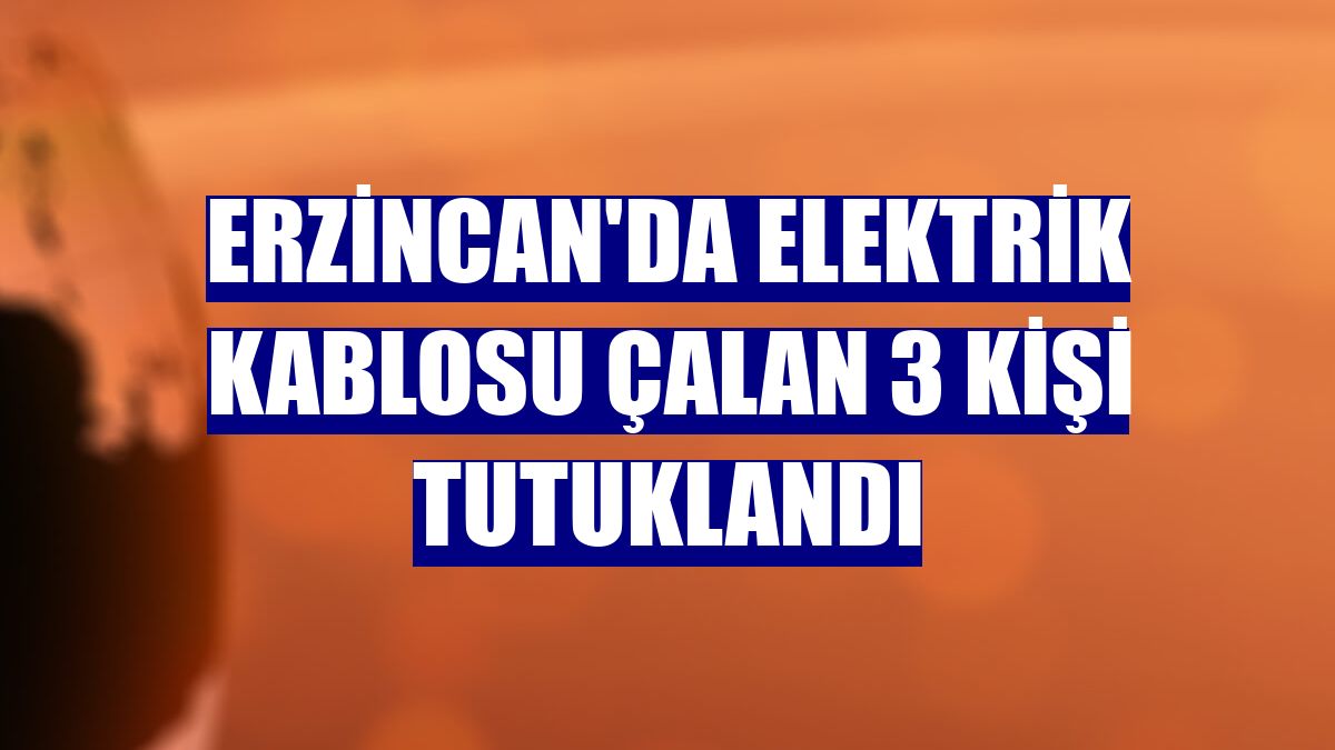 Erzincan'da elektrik kablosu çalan 3 kişi tutuklandı