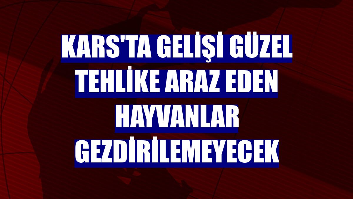 Kars'ta gelişi güzel tehlike araz eden hayvanlar gezdirilemeyecek