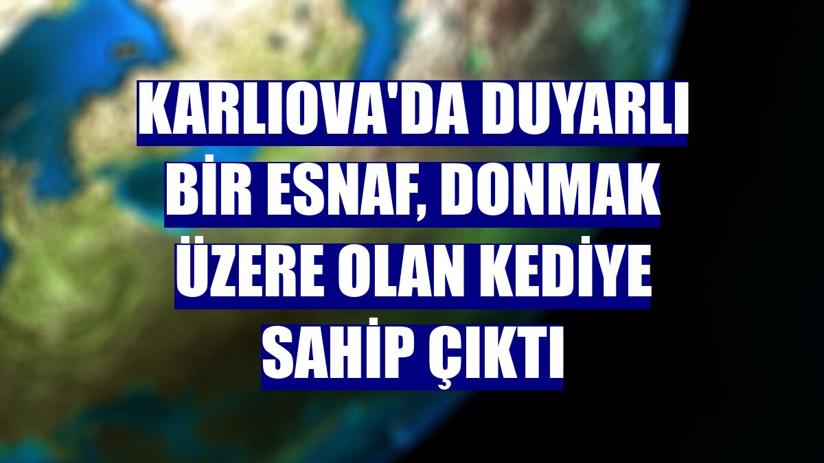 Karlıova'da duyarlı bir esnaf, donmak üzere olan kediye sahip çıktı