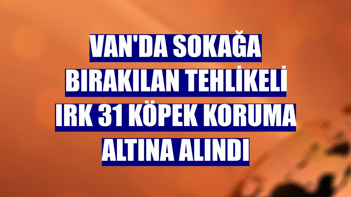 Van'da sokağa bırakılan tehlikeli ırk 31 köpek koruma altına alındı