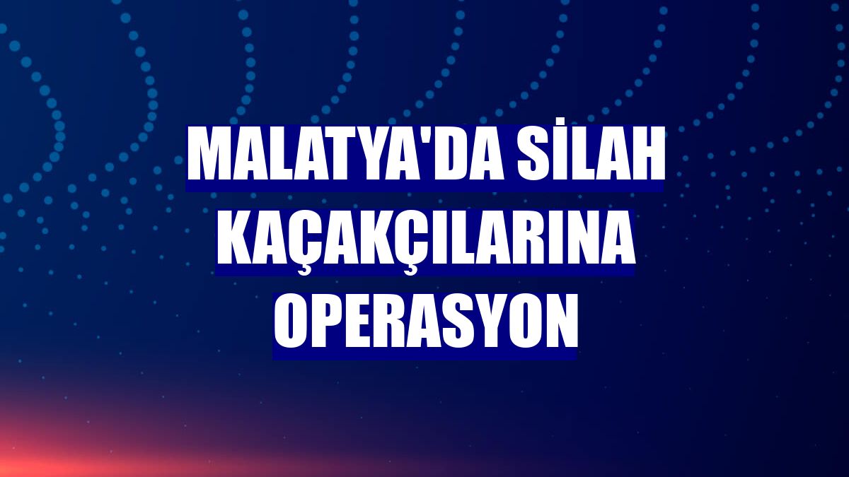 Malatya'da silah kaçakçılarına operasyon