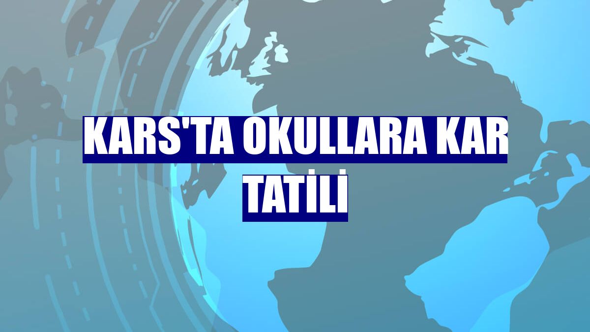 Kars'ta okullara kar tatili