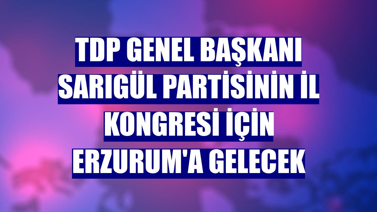 TDP Genel Başkanı Sarıgül partisinin il kongresi için Erzurum'a gelecek
