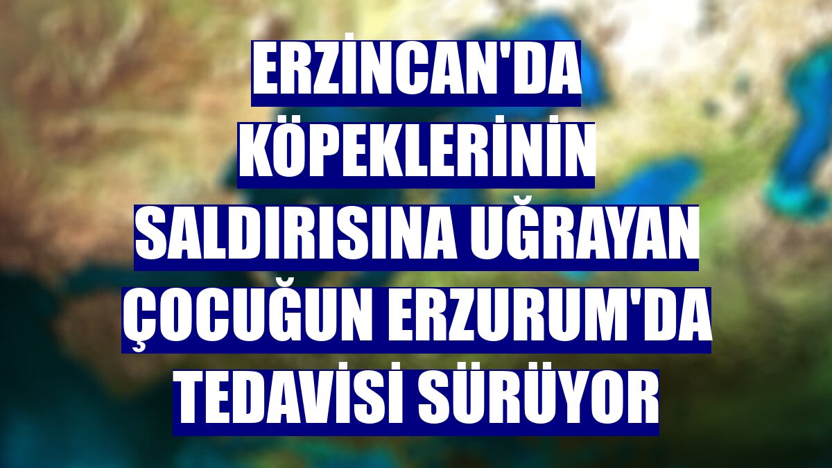 Erzincan'da köpeklerinin saldırısına uğrayan çocuğun Erzurum'da tedavisi sürüyor
