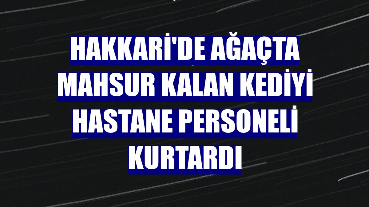 Hakkari'de ağaçta mahsur kalan kediyi hastane personeli kurtardı