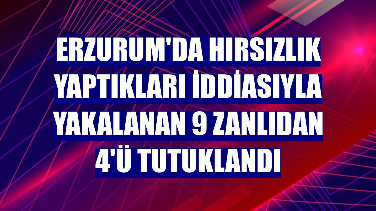 Erzurum'da hırsızlık yaptıkları iddiasıyla yakalanan 9 zanlıdan 4'ü tutuklandı