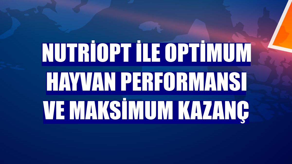 NutriOpt ile optimum hayvan performansı ve maksimum kazanç
