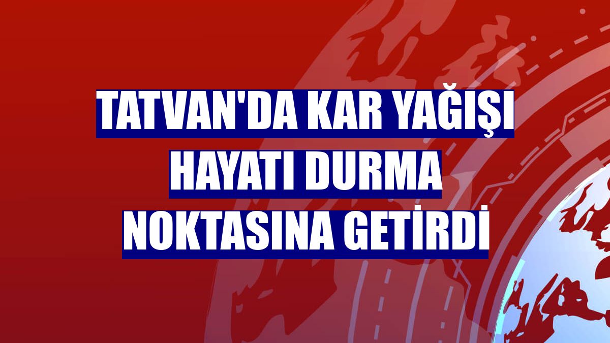 Tatvan'da kar yağışı hayatı durma noktasına getirdi
