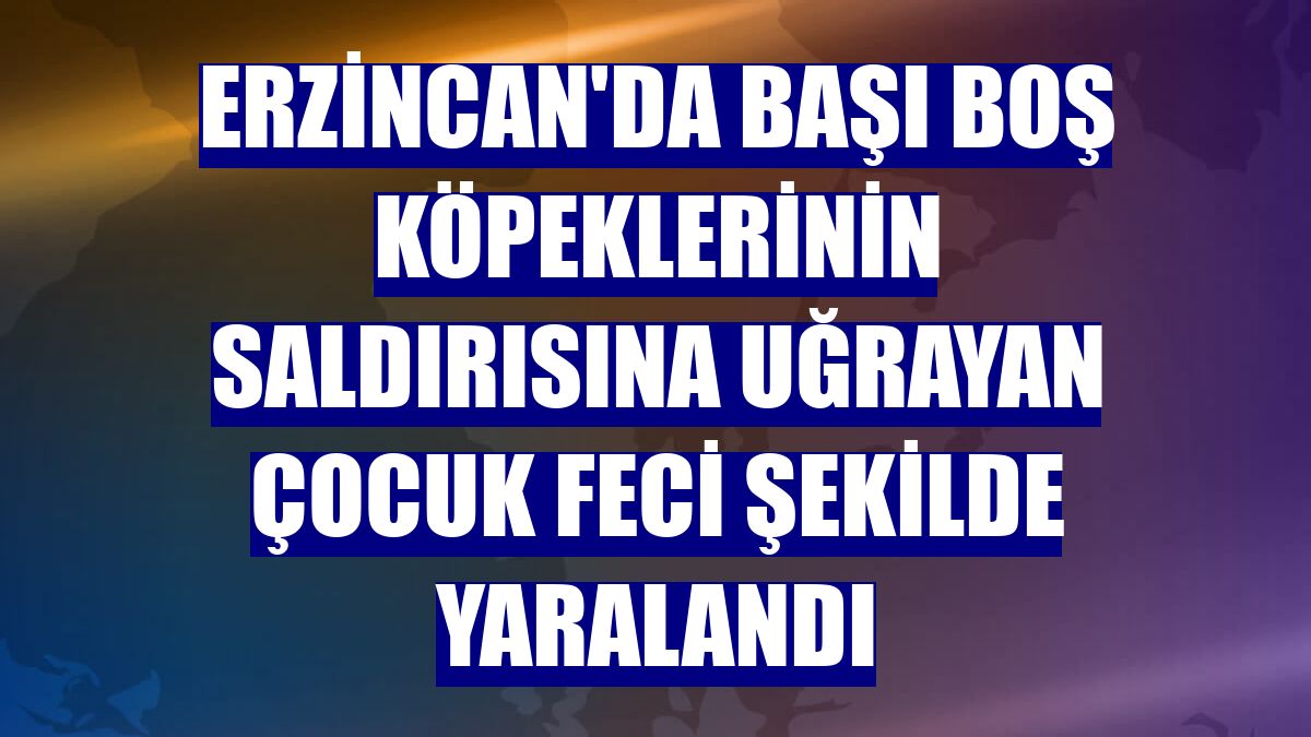 Erzincan'da başı boş köpeklerinin saldırısına uğrayan çocuk feci şekilde yaralandı