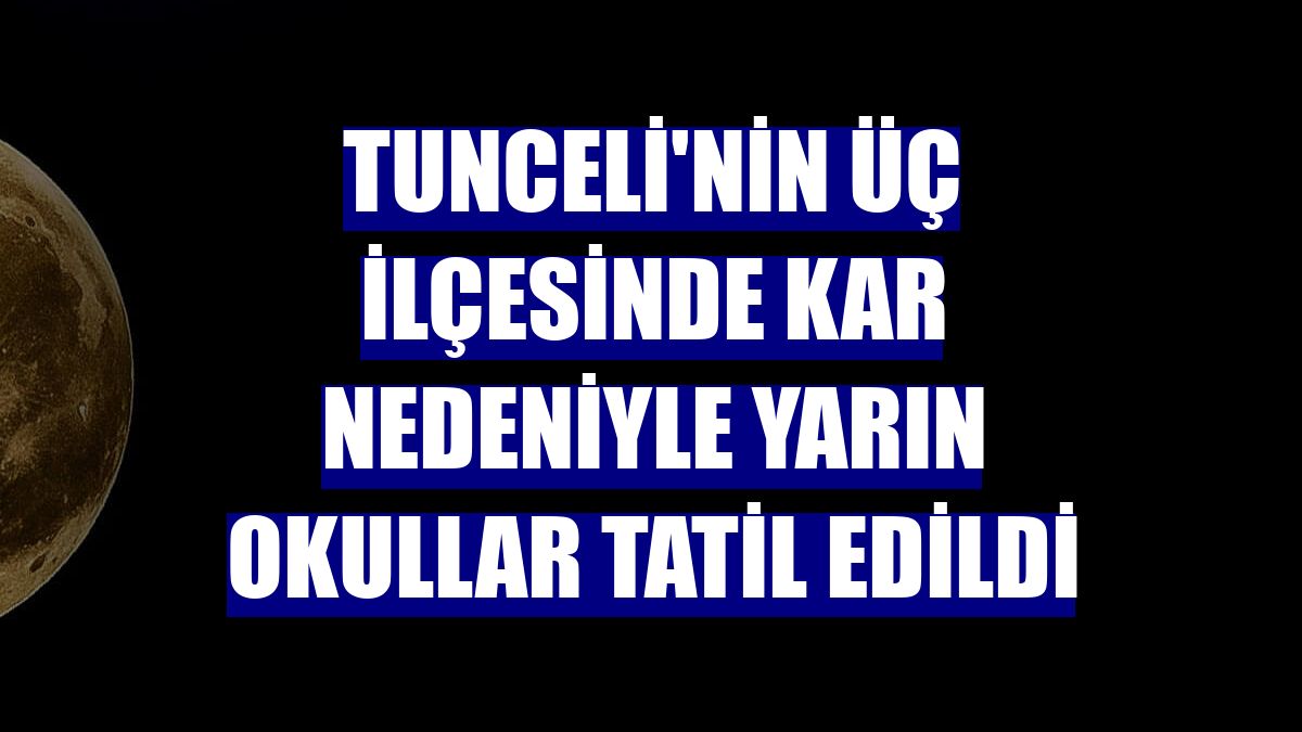 Tunceli'nin üç ilçesinde kar nedeniyle yarın okullar tatil edildi