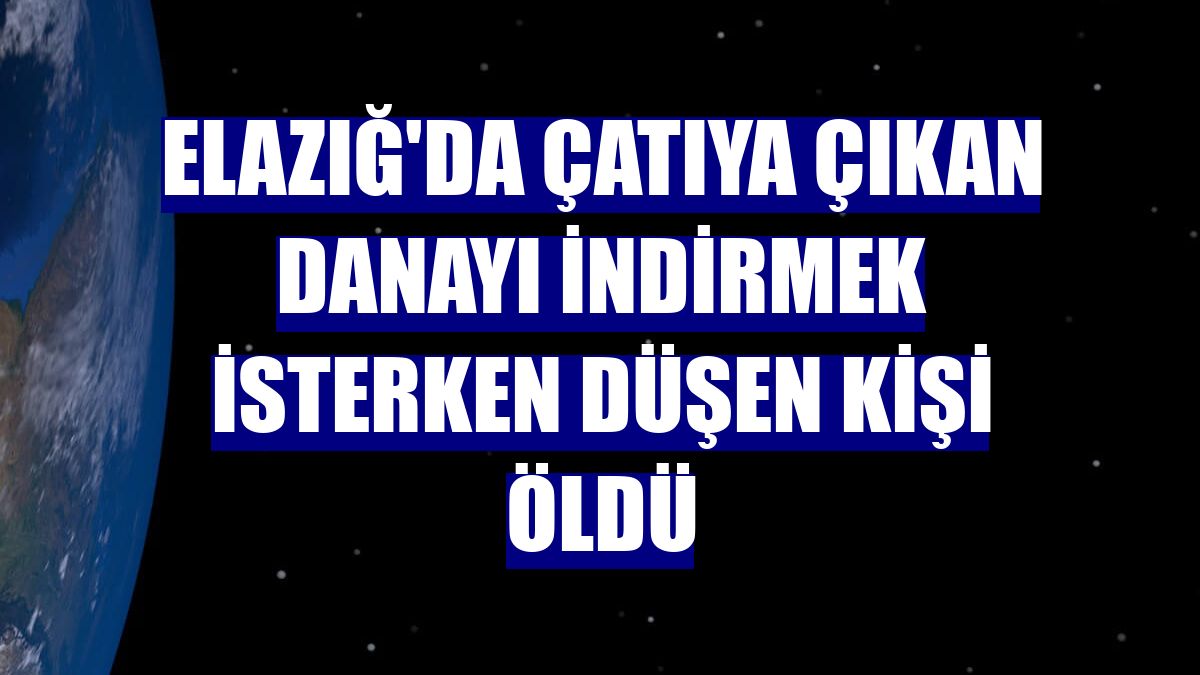 Elazığ'da çatıya çıkan danayı indirmek isterken düşen kişi öldü