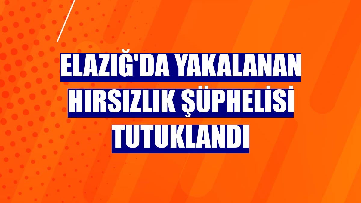 Elazığ'da yakalanan hırsızlık şüphelisi tutuklandı