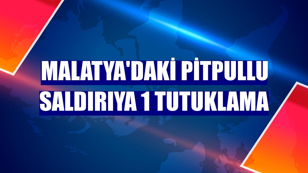 Malatya'daki pitpullu saldırıya 1 tutuklama