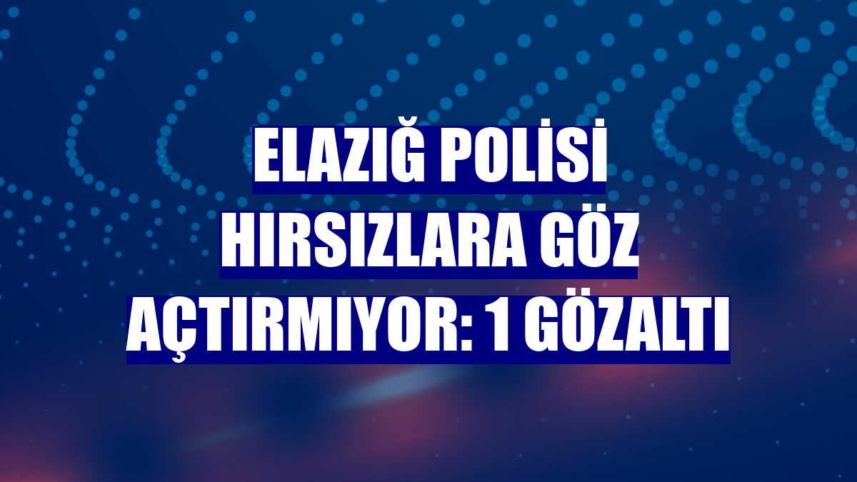 Elazığ polisi hırsızlara göz açtırmıyor: 1 gözaltı
