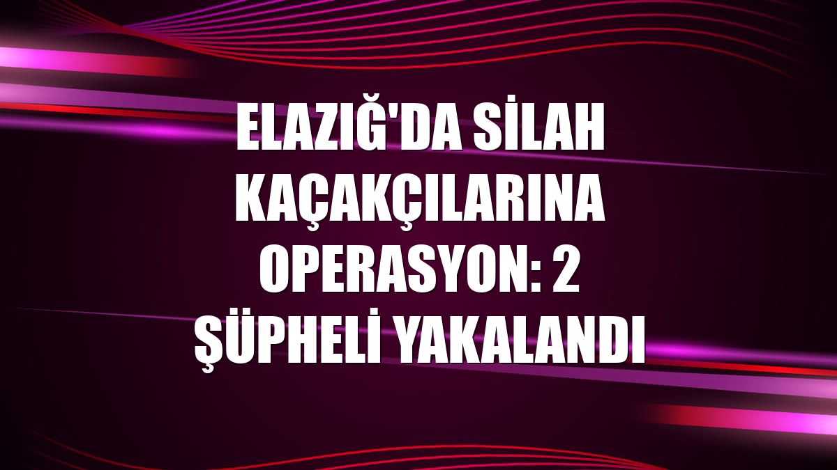 Elazığ'da silah kaçakçılarına operasyon: 2 şüpheli yakalandı