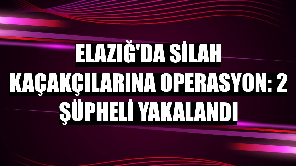 Elazığ'da silah kaçakçılarına operasyon: 2 şüpheli yakalandı