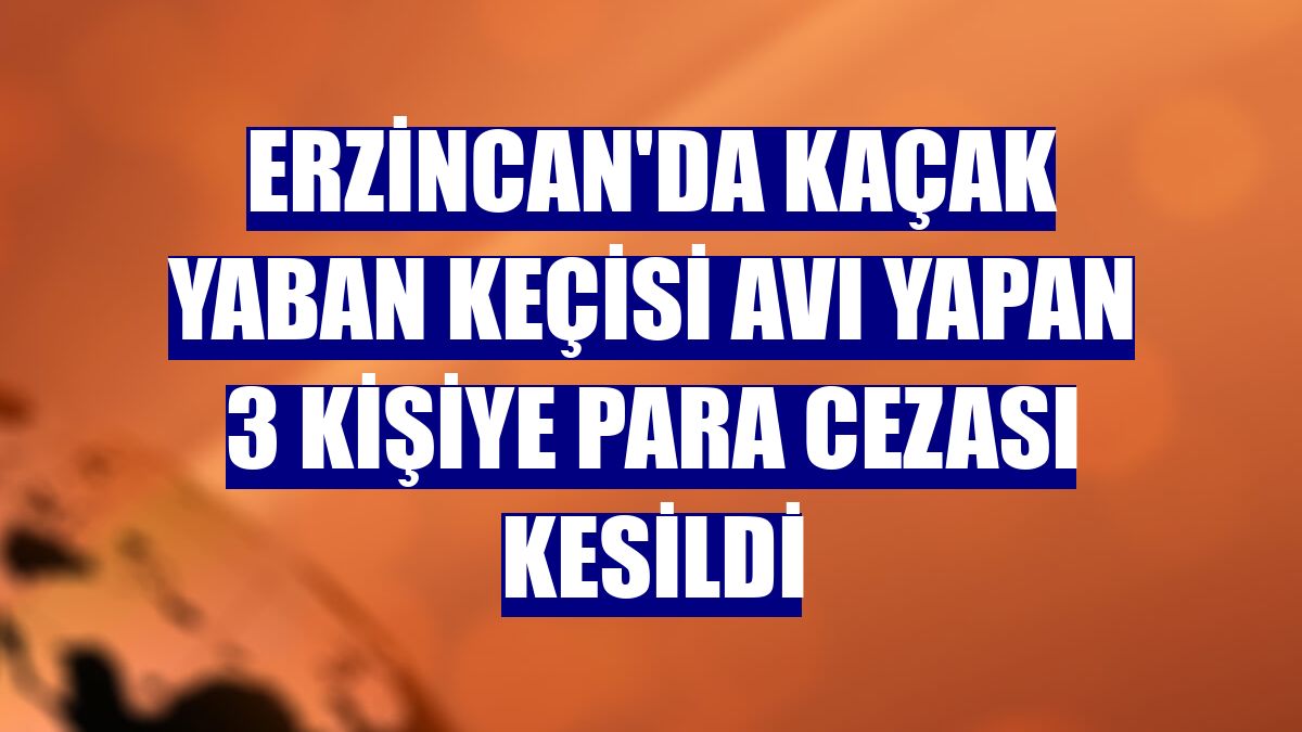 Erzincan'da kaçak yaban keçisi avı yapan 3 kişiye para cezası kesildi