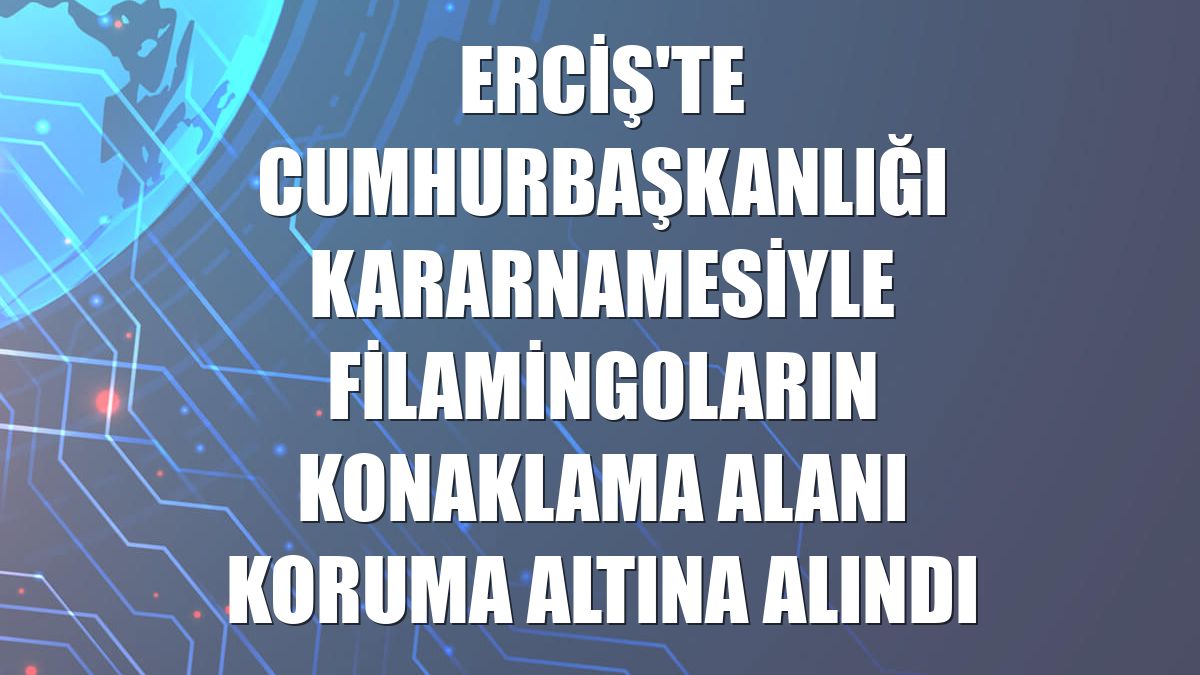 Erciş'te Cumhurbaşkanlığı kararnamesiyle filamingoların konaklama alanı koruma altına alındı