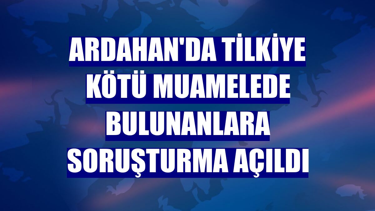 Ardahan'da tilkiye kötü muamelede bulunanlara soruşturma açıldı