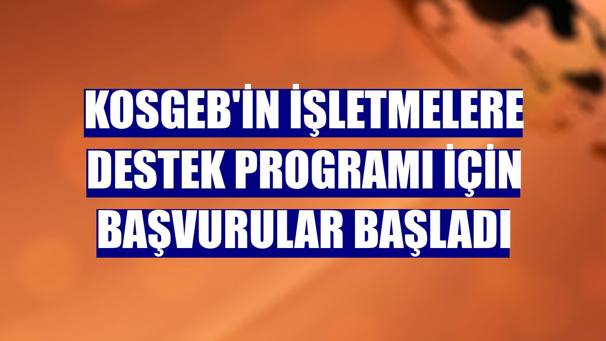 KOSGEB'in işletmelere destek programı için başvurular başladı