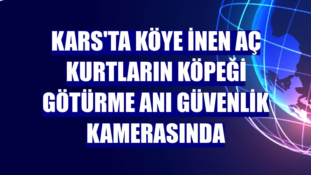 Kars'ta köye inen aç kurtların köpeği götürme anı güvenlik kamerasında