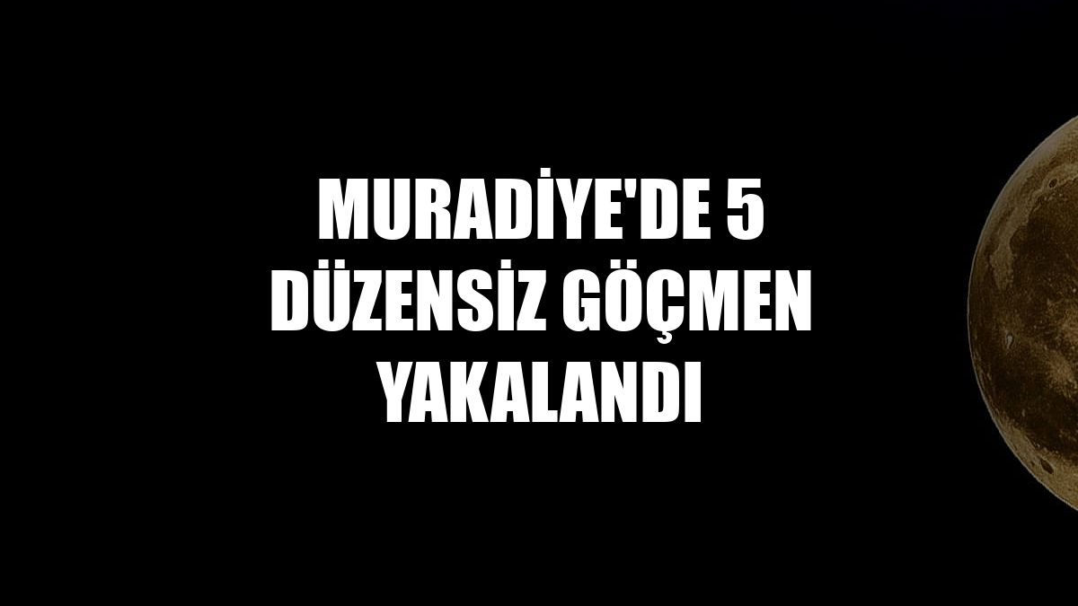 Muradiye'de 5 düzensiz göçmen yakalandı