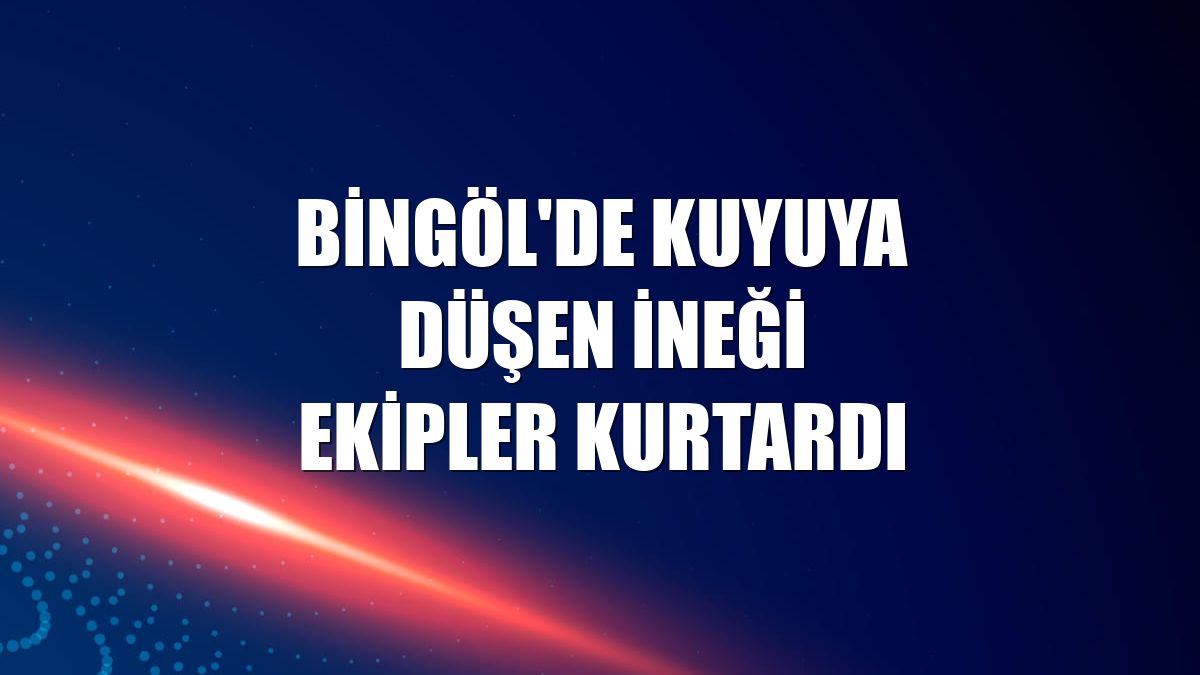 Bingöl'de kuyuya düşen ineği ekipler kurtardı
