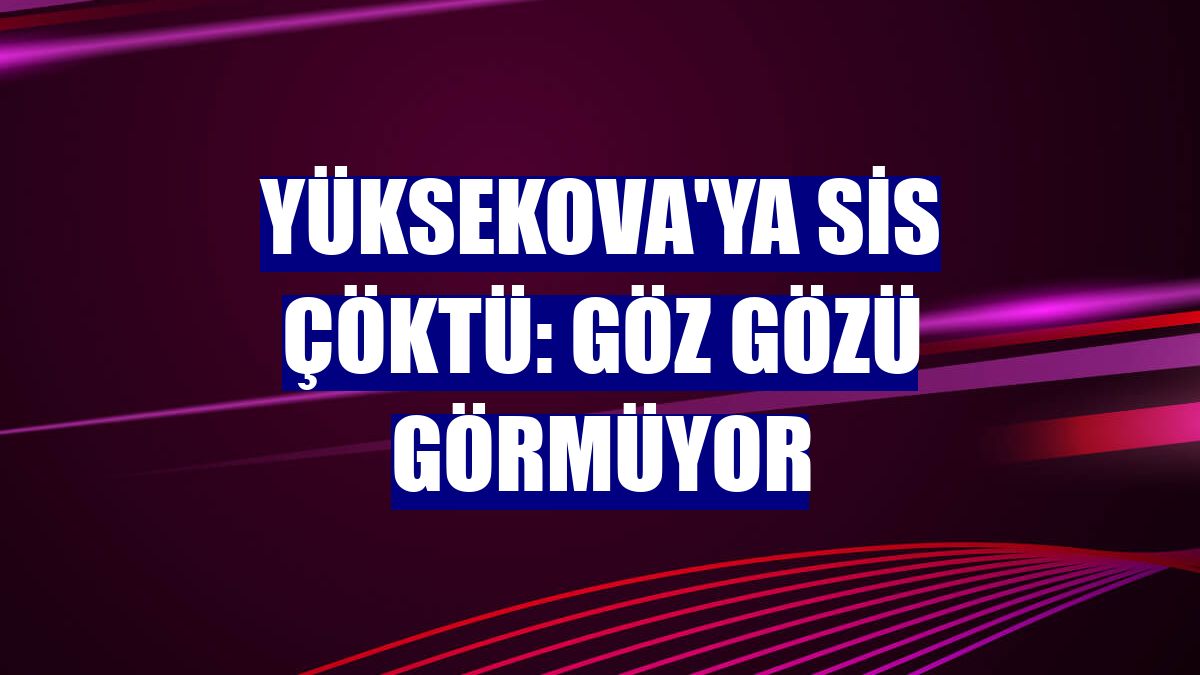 Yüksekova'ya sis çöktü: Göz gözü görmüyor