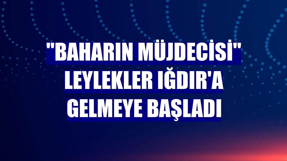 "Baharın müjdecisi" leylekler Iğdır'a gelmeye başladı