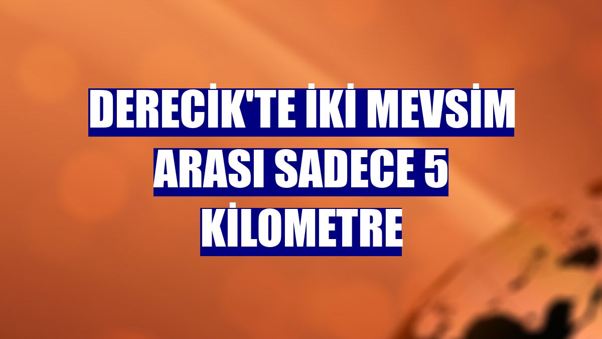 Derecik'te iki mevsim arası sadece 5 kilometre
