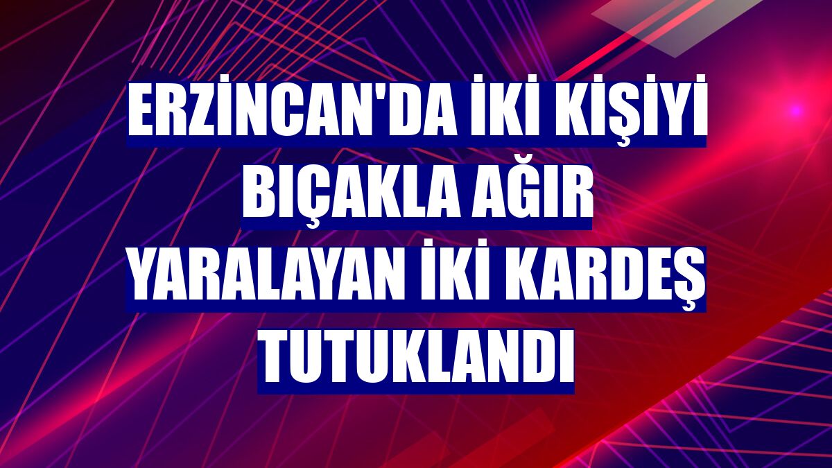 Erzincan'da iki kişiyi bıçakla ağır yaralayan iki kardeş tutuklandı