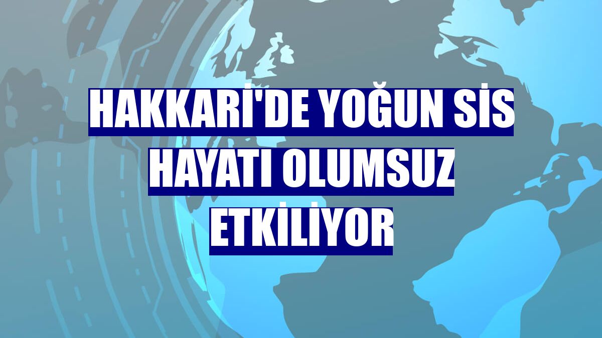 Hakkari'de yoğun sis hayatı olumsuz etkiliyor