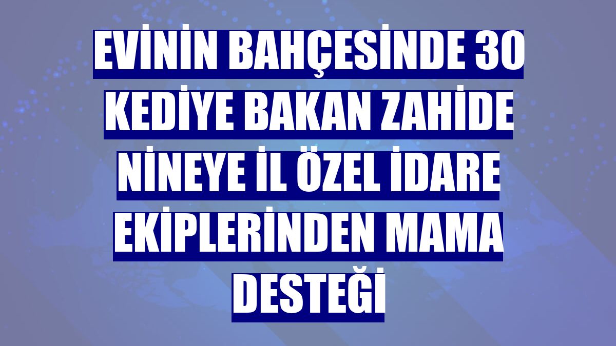 Evinin bahçesinde 30 kediye bakan Zahide nineye İl Özel İdare ekiplerinden mama desteği