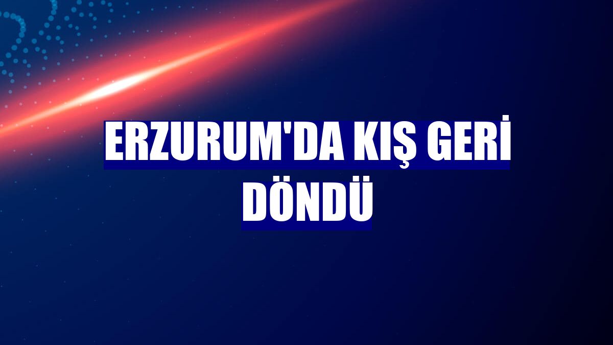 Erzurum'da kış geri döndü