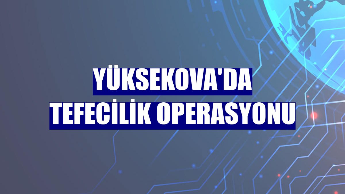 Yüksekova'da tefecilik operasyonu