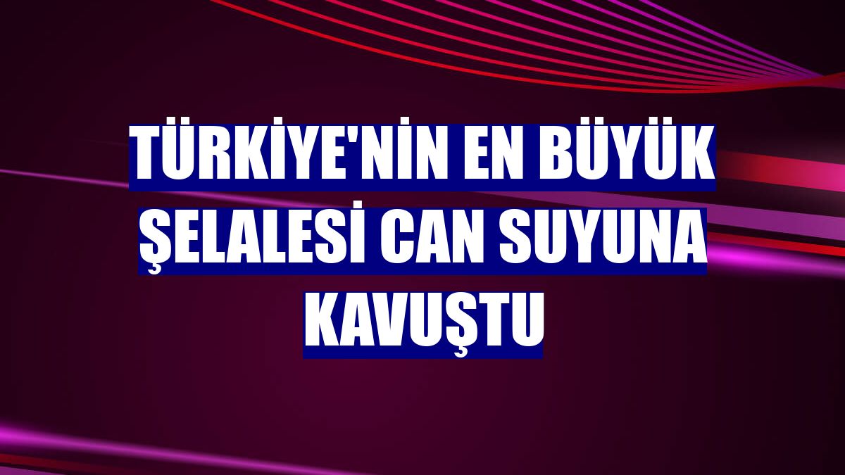 Türkiye'nin en büyük şelalesi can suyuna kavuştu