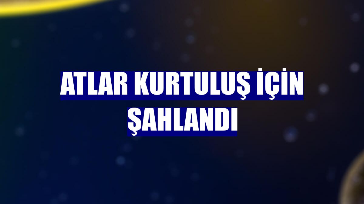 Atlar kurtuluş için şahlandı