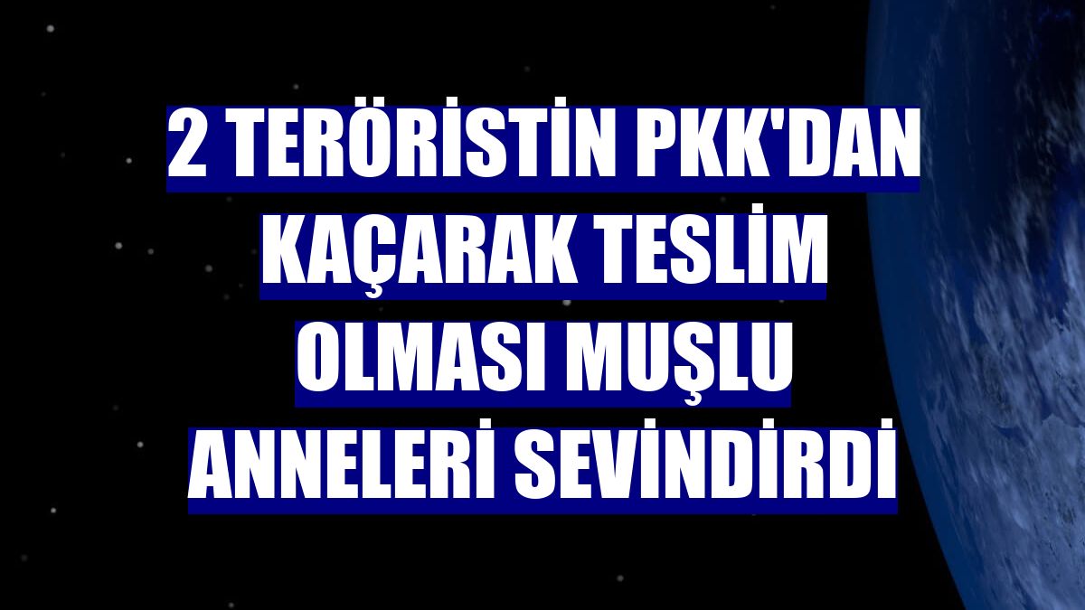 2 teröristin PKK'dan kaçarak teslim olması Muşlu anneleri sevindirdi