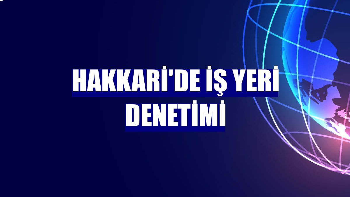 Hakkari'de iş yeri denetimi