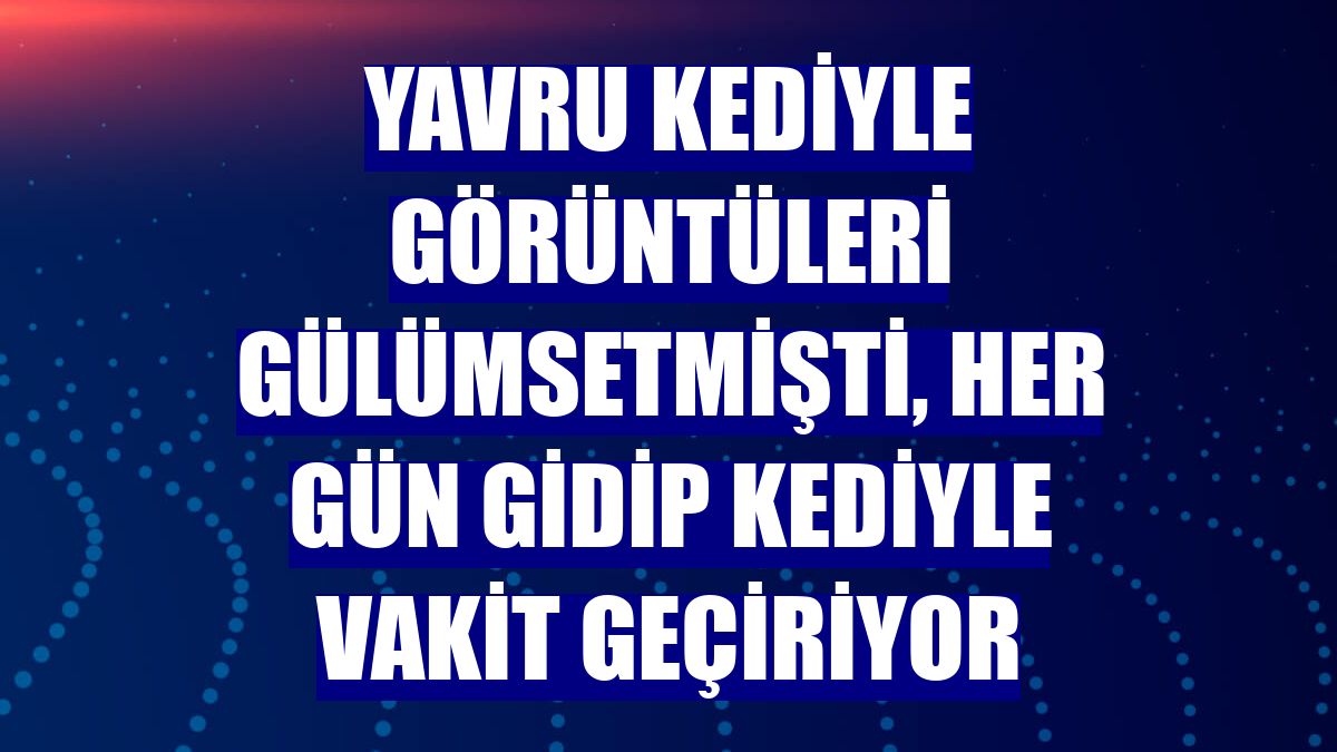 Yavru kediyle görüntüleri gülümsetmişti, her gün gidip kediyle vakit geçiriyor