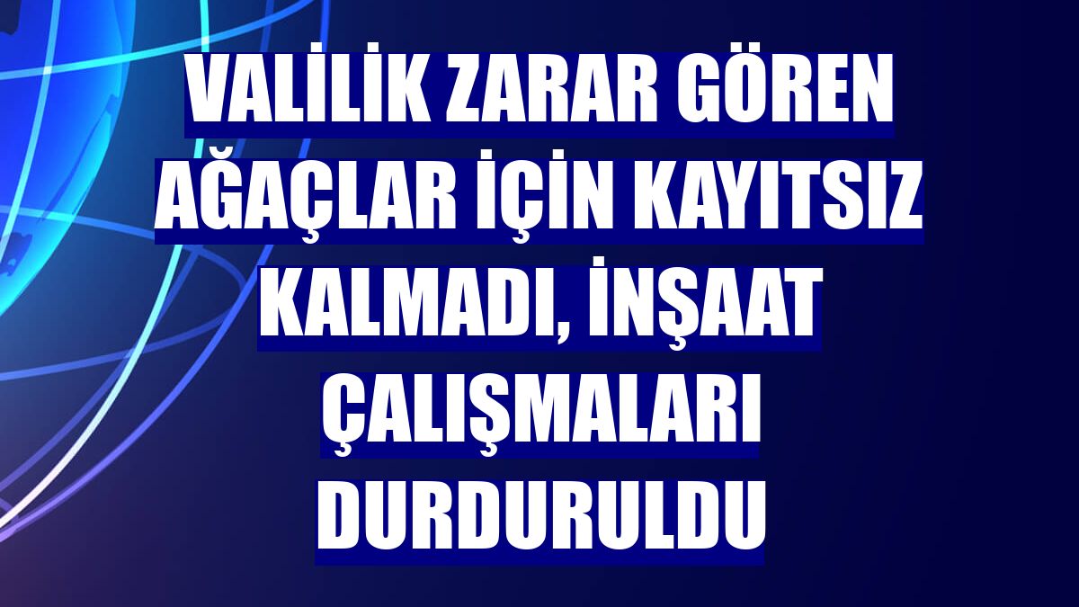 Valilik zarar gören ağaçlar için kayıtsız kalmadı, inşaat çalışmaları durduruldu