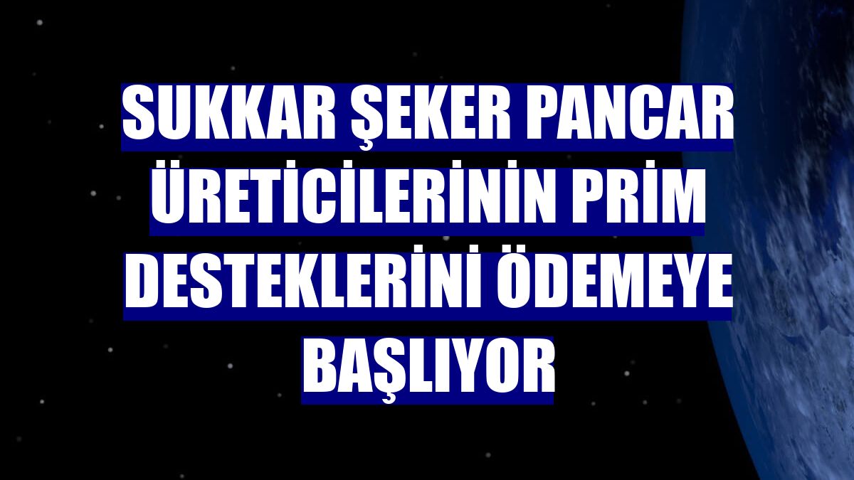 Sukkar Şeker pancar üreticilerinin prim desteklerini ödemeye başlıyor