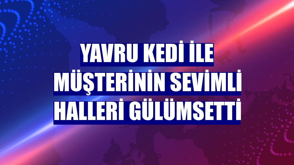 Yavru kedi ile müşterinin sevimli halleri gülümsetti