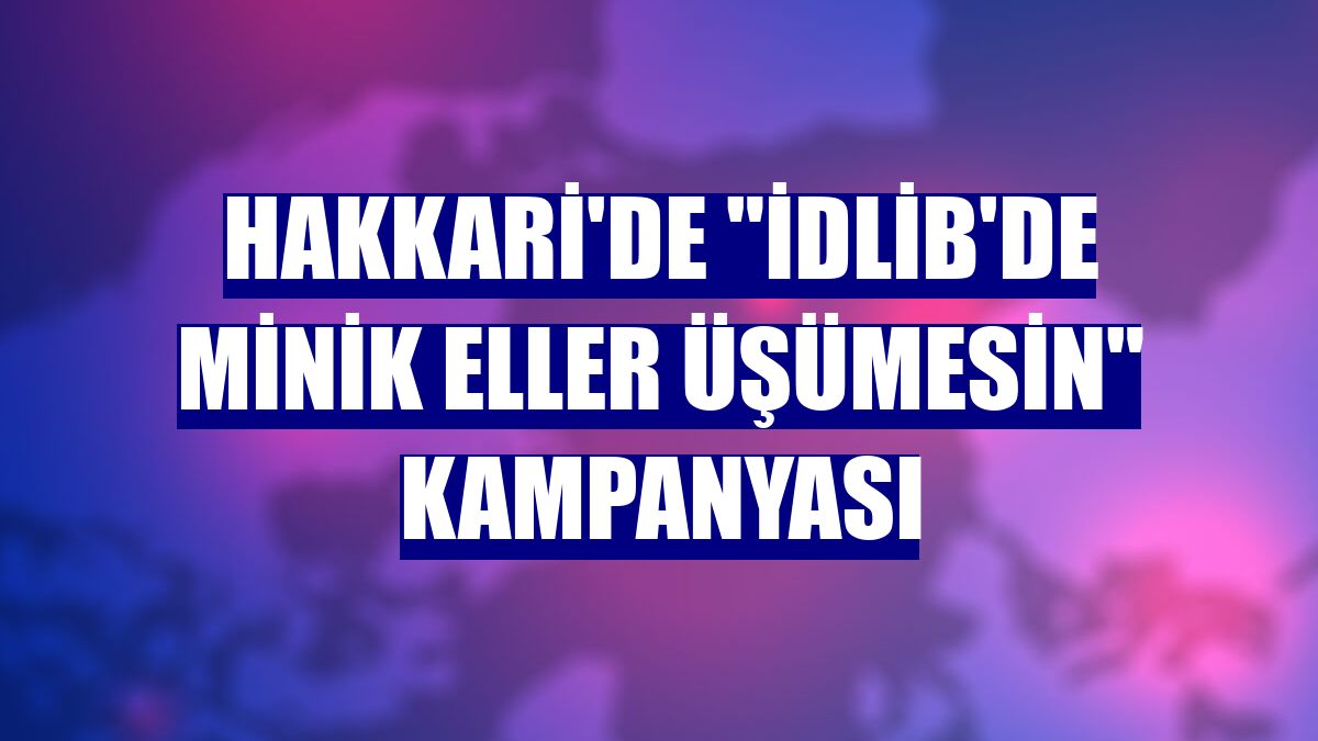 Hakkari'de "İdlib'de Minik Eller Üşümesin" kampanyası