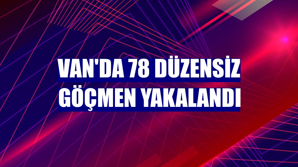 Van'da 78 düzensiz göçmen yakalandı