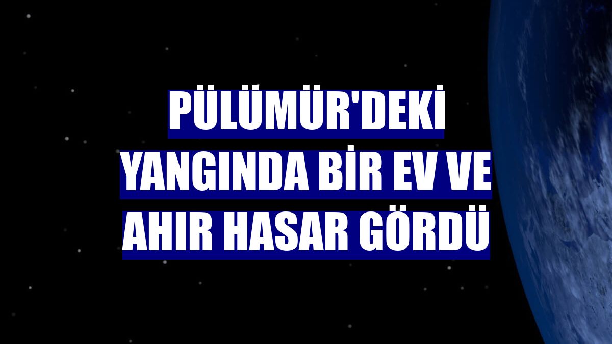 Pülümür'deki yangında bir ev ve ahır hasar gördü