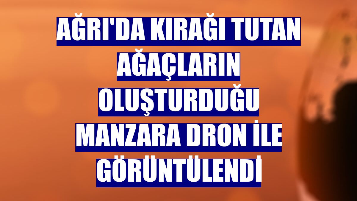 Ağrı'da kırağı tutan ağaçların oluşturduğu manzara dron ile görüntülendi