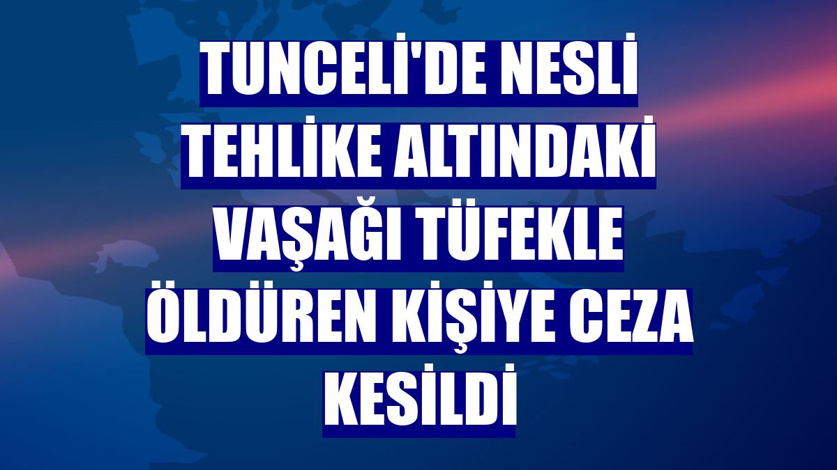 Tunceli'de nesli tehlike altındaki vaşağı tüfekle öldüren kişiye ceza kesildi