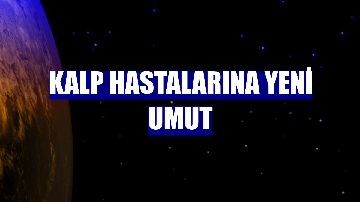 Kalp hastalarına yeni umut